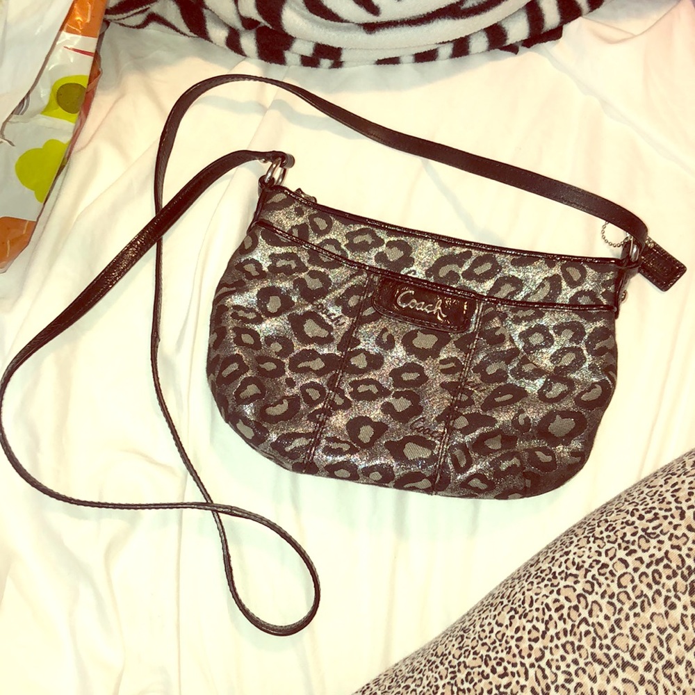 Shimmery Coach cross body